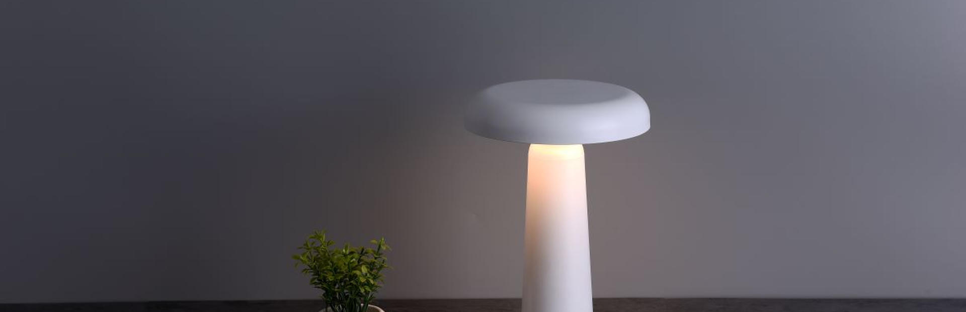 Onelamp Şarjlı Masa Lambası