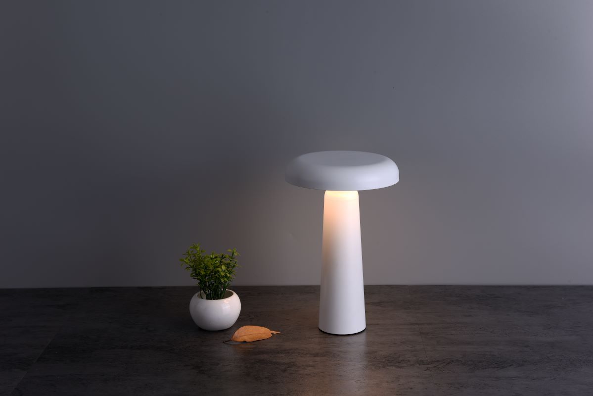 Onelamp Şarjlı Masa Lambası